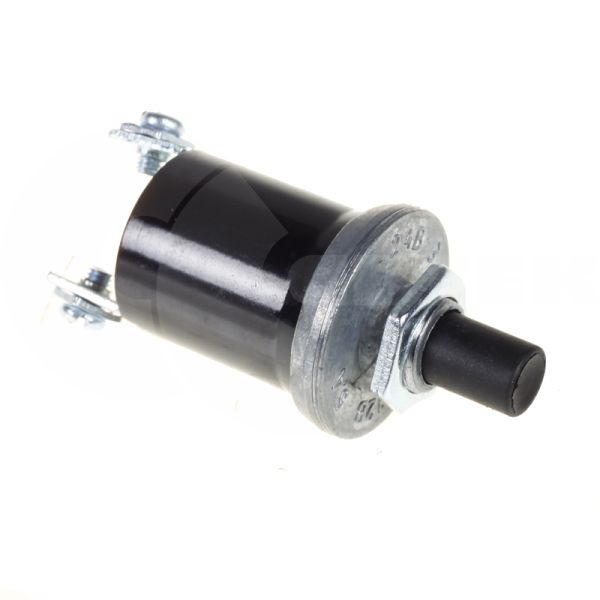 Вимикач ВК-322 маси, кнопка пускова двухклемна (MD)